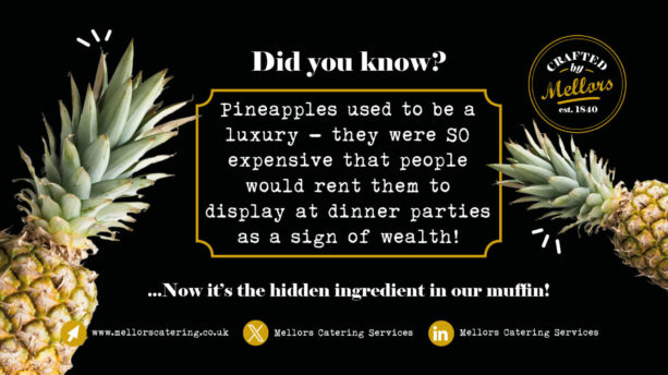 Crafted By Mellors 3 Pineapple Fact SCREEN 1920x1080px B2 Crafted By Mellors 3 Pineapple Fact SCREEN 1920x1080px B2